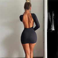 Long Sleeve Round Neck Bodycon Mini Dress